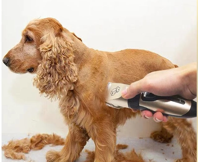 Maquina de cortar pelo Mascotas